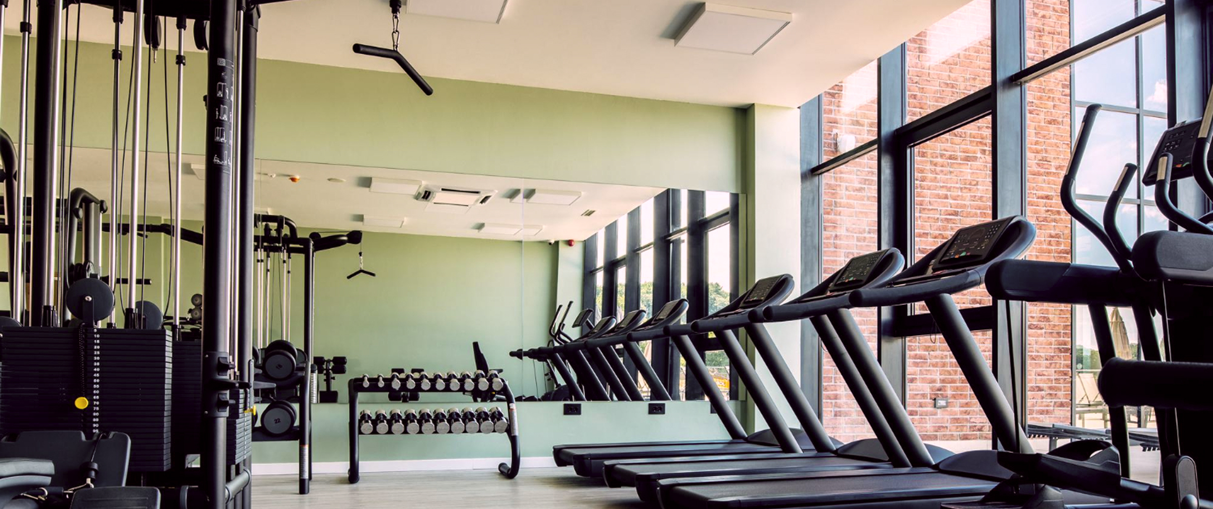 на фото тренажеры, беговые дорожки и стойка с гантелями